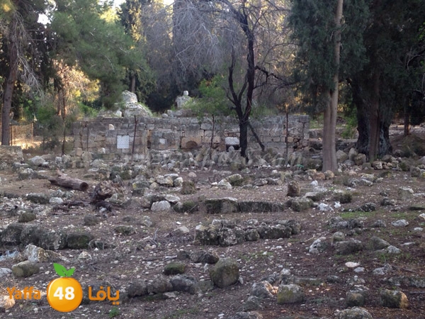 3emwass maqbara (20).JPG